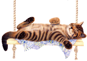 chats